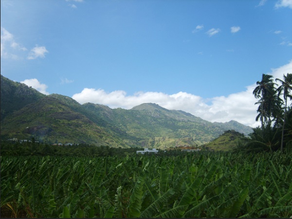 குமரியில் இதையெல்லாம் தெரிந்து வைத்திருக்கிறீர்களா?