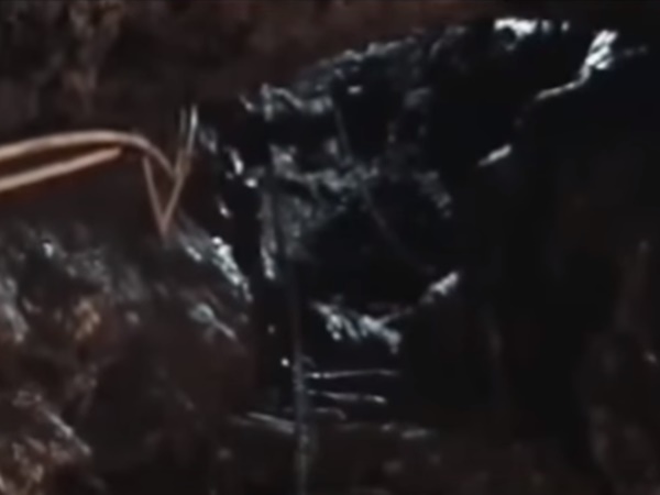  கந்த புராணம் முன்பே சொன்னது