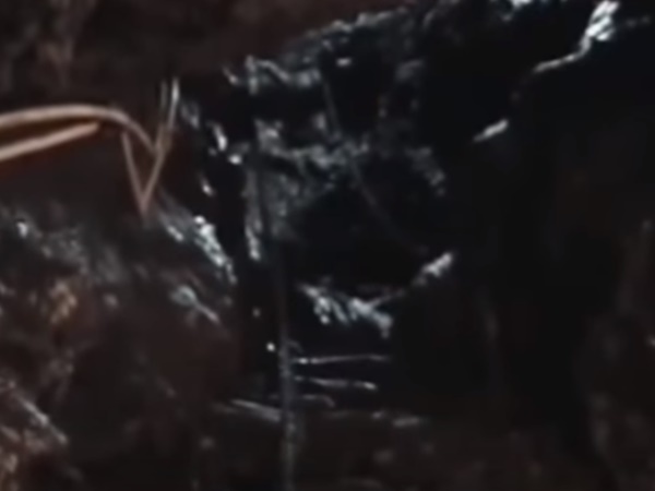 உயிர் போகும் அபாயம்