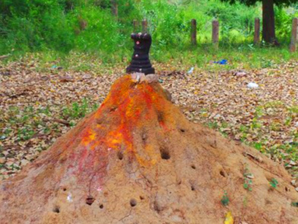 மற்ற தெய்வங்கள்