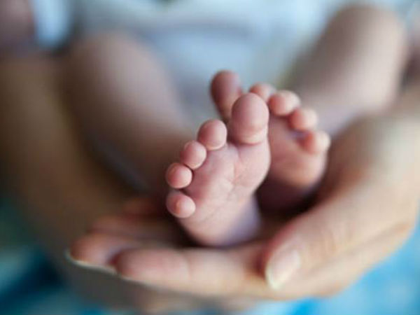 காட்டில் பிறந்த சிங்க குட்டி காட்டில் பிறந்த சிங்க குட்டி