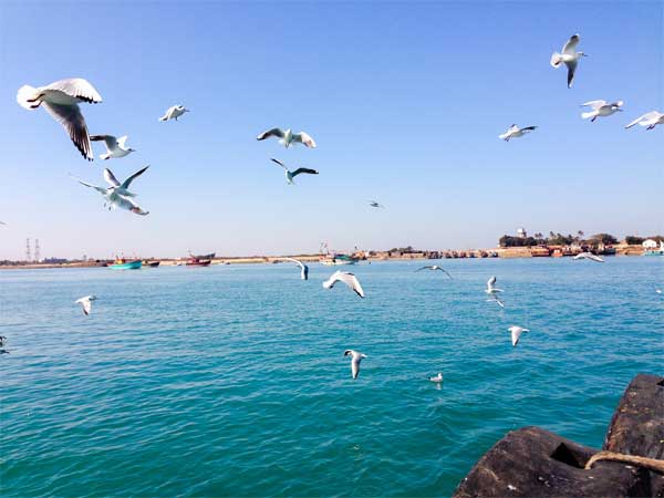  துவாரகாவை நாம் அடைவது எப்படி: