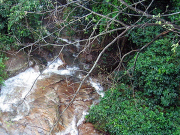  குதிரைமொழித்தேறி