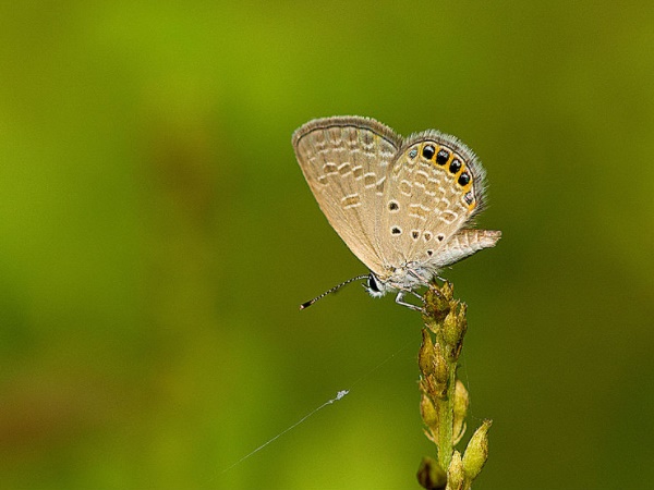  எப்படி செல்லலாம்?