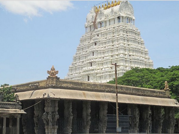  விஜயநகர அரசு