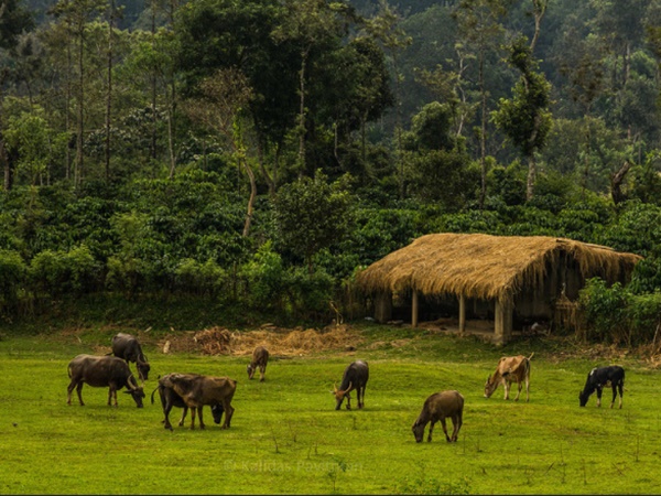 பெயர்க்காரணம்