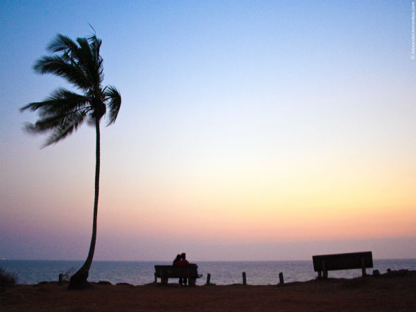 கோவா: கோவா: