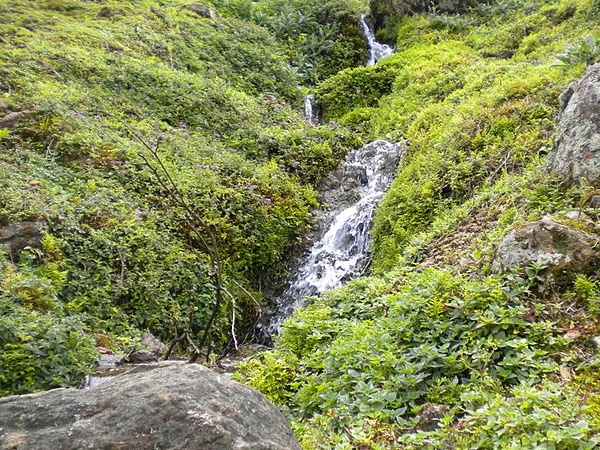  சிலப்பதிகாரத்தில் சுருளி