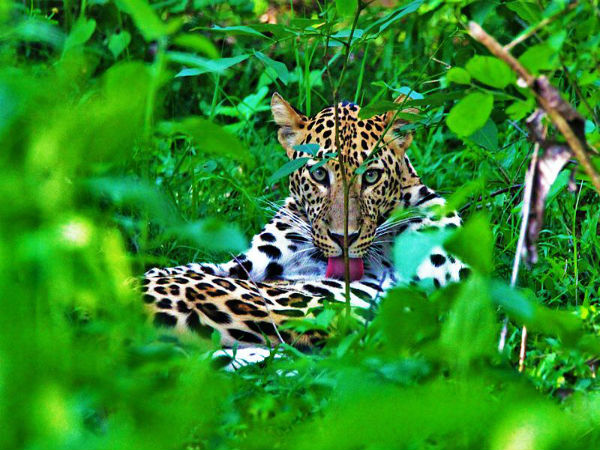  நாகர்ஹோல்: