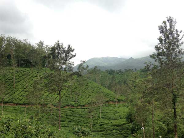  வயநாட்டில் நாம் பார்க்க வேண்டிய இடங்களும், செய்ய வேண்டிய செயல்களும்: