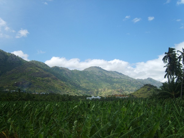 நாகர்கோவிலைச் சுற்றி 