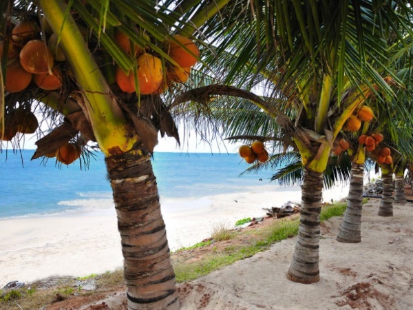  சொத்தவிளை கடற்கரை