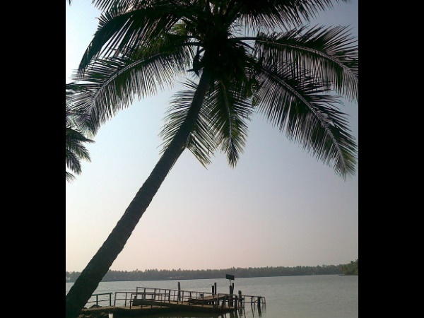  காவாயி தீவுகள்