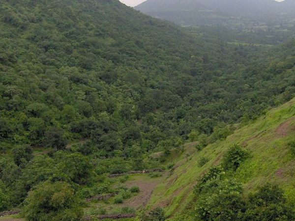 விந்தியமலை