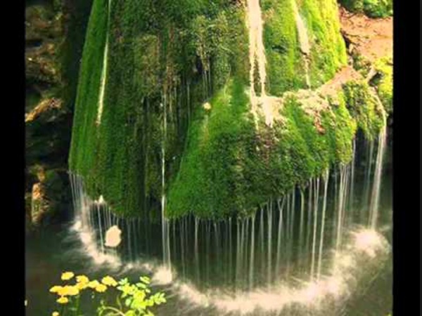 யாங்குள்லேன்