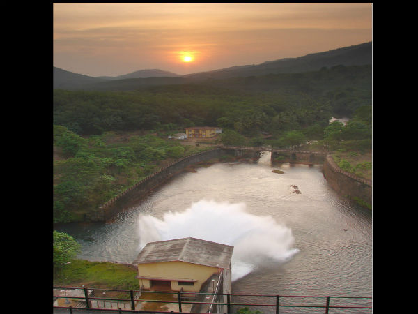  சிம்மினி: