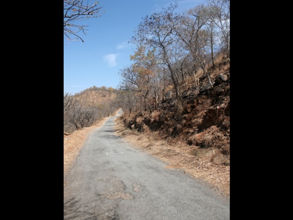 எப்படி செல்லலாம்