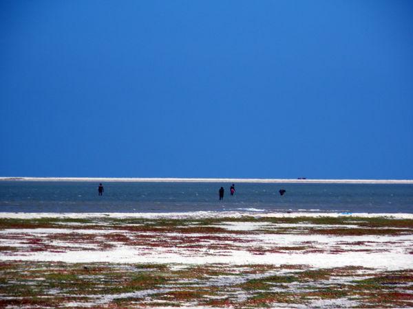 தனுஷ்கோடி