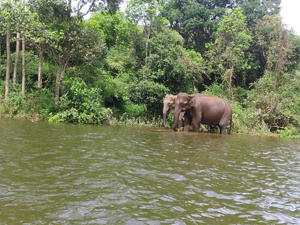  மட்டுப்பெட்டி ஏரி