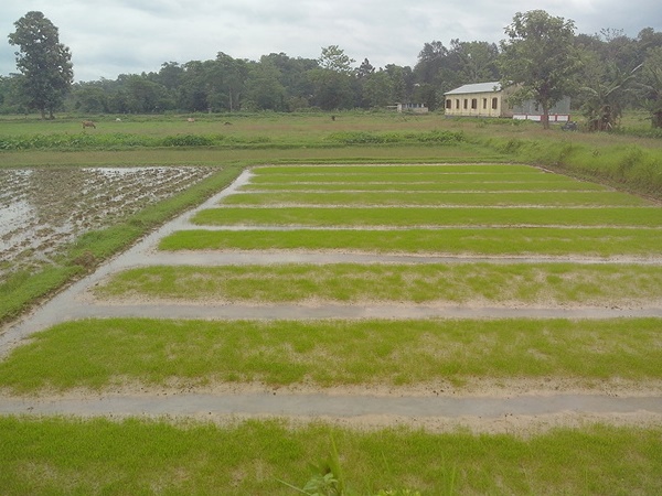 திரிபுரா மலைகளுக்கும் காடுகளுக்கும் இடையே ஒளிந்திருக்கும் அற்புதம் காண போலாமா?