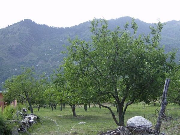  திரிபுர சுந்தரி கோயில்