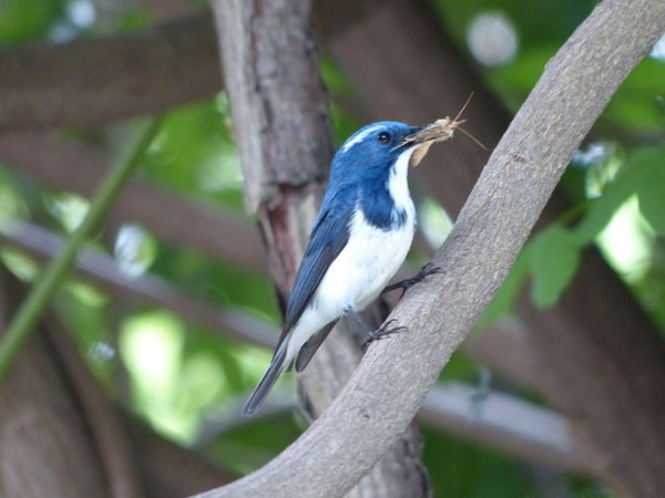  எப்படி செல்லலாம்