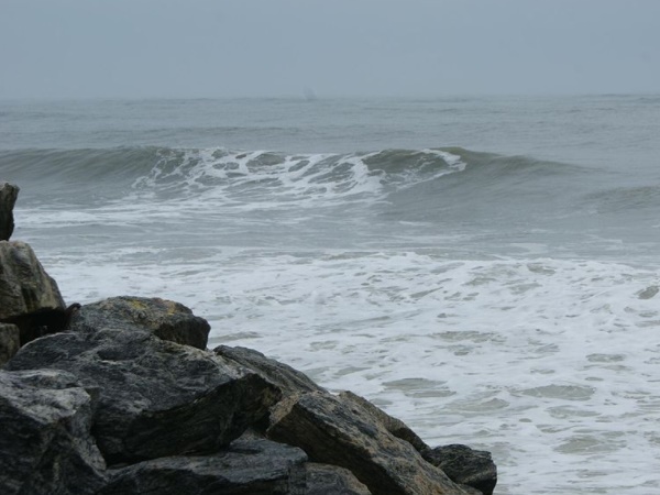  பிரெஞ்சு