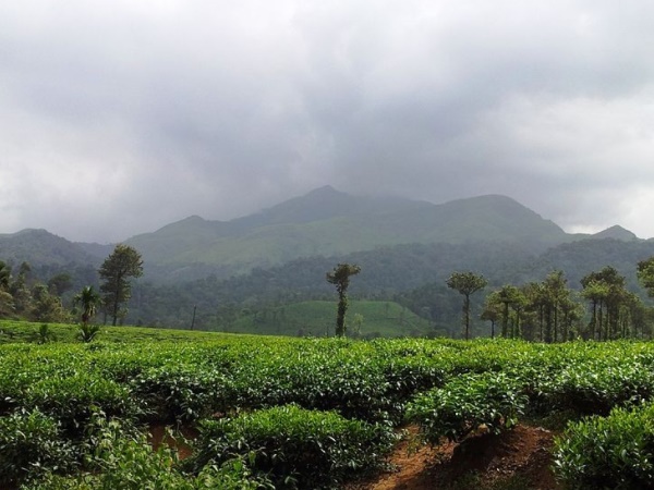  சாகசங்கள் நிறைந்த வயநாடு சுற்றுலா