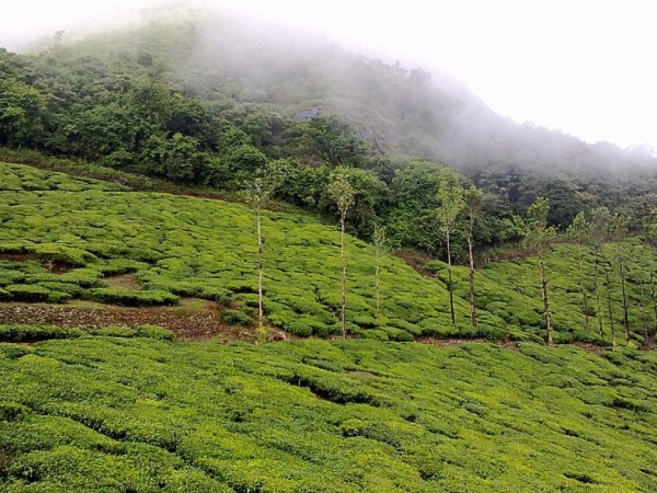 செம்பரா சிகரம் செம்பரா சிகரம்