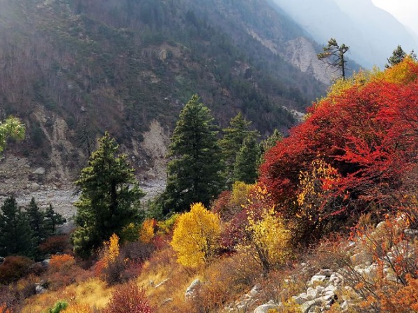  மலையேற்றம்