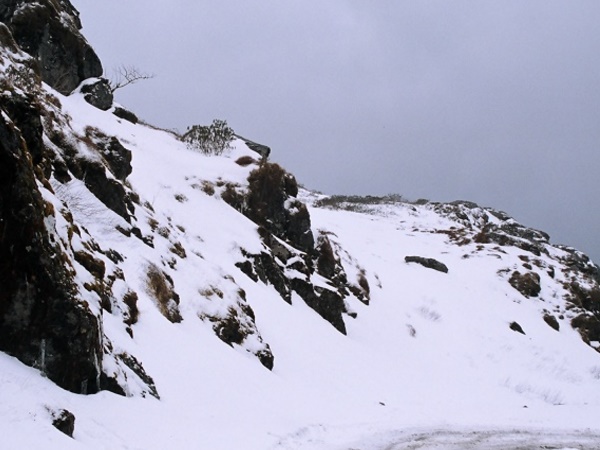  பனிச்சறுக்கு