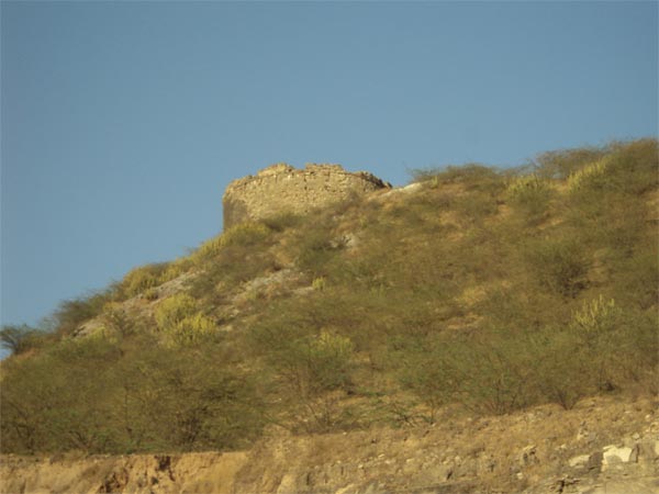  பூஜியோ டுங்கர்: 