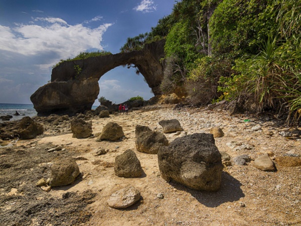  அரியவகை பறவைகள்