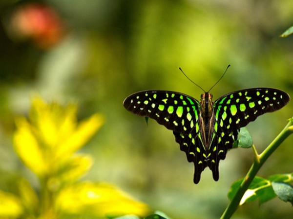  தீவுச்சொர்க்கத்திற்கு கூட்டிச்செல்லும் போக்குவரத்து மார்க்கங்கள்