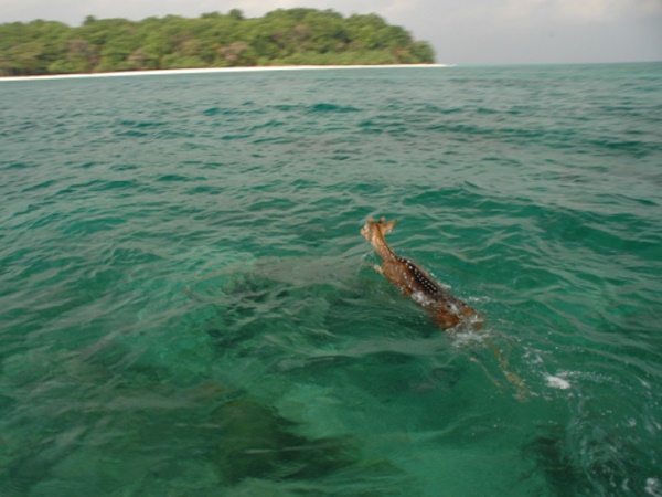  விமானம் மூலம்