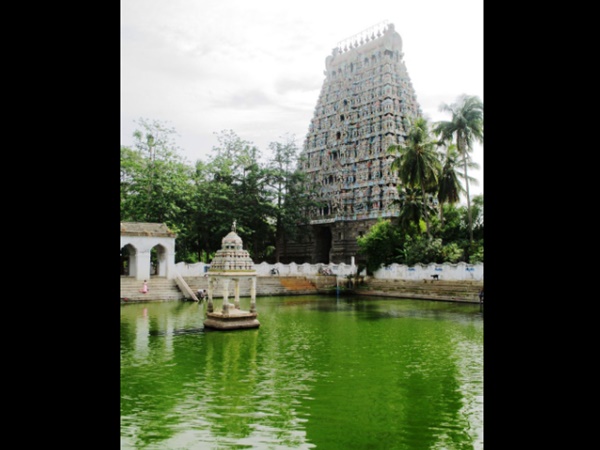 மயூரநாதர் மயூரநாதர்