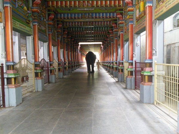  கோயிலின் சிறப்பு