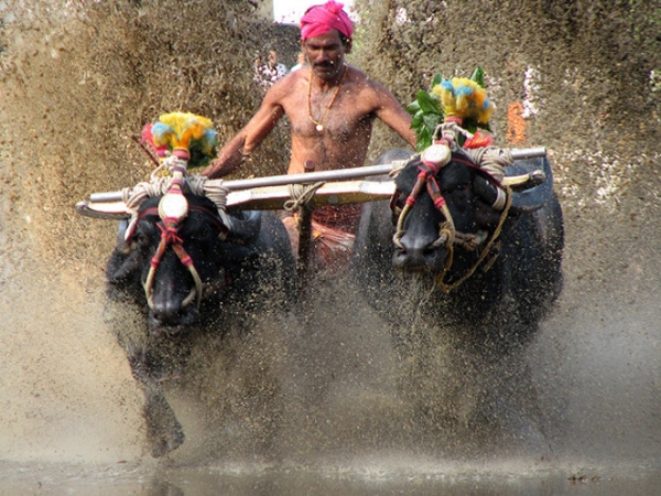 மழைக் காலத்தில் டூர் மங்களூர் எப்படி இருக்கும்னு தெரியுமா?