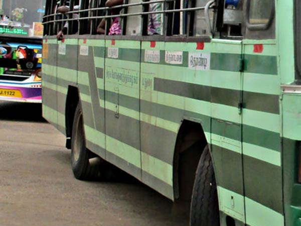 புறாவுடன் பயணம்