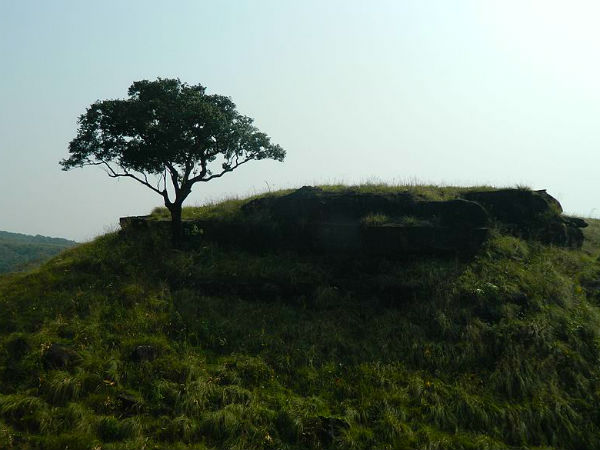  பல்பக்ரம் காடு, மேகாலயா: 