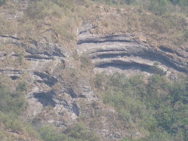  பல்பக்ரம் காடு