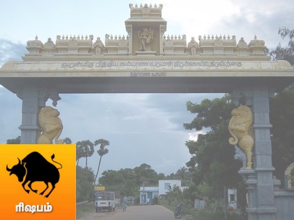 ரிஷபம் : ரிஷபம் :