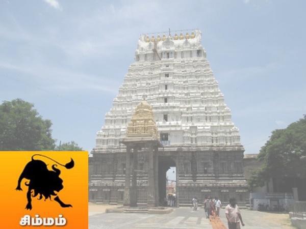 சிம்மம் : சிம்மம் :