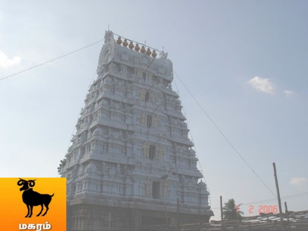 மகரம் : மகரம் :