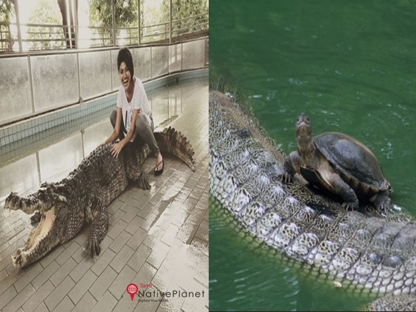  கொள்கைகள்