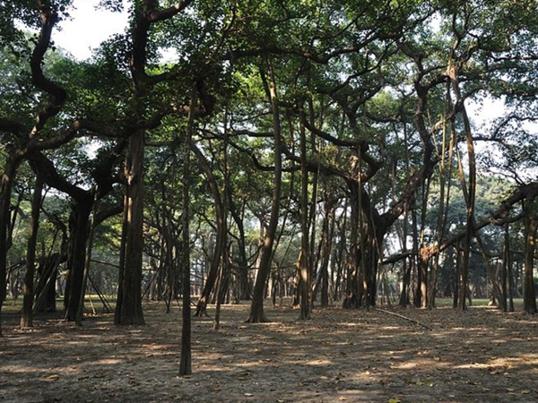  32 வருடங்களுக்கு முன்