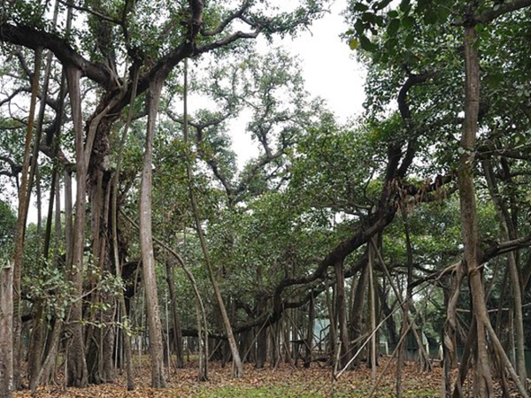 இந்த பூங்காவின் மூலை முடுக்கெல்லாம் சுற்றலாம் வாங்க