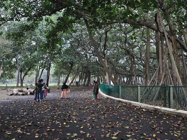 இந்த பூங்காவின் மூலை முடுக்கெல்லாம் சுற்றலாம் வாங்க