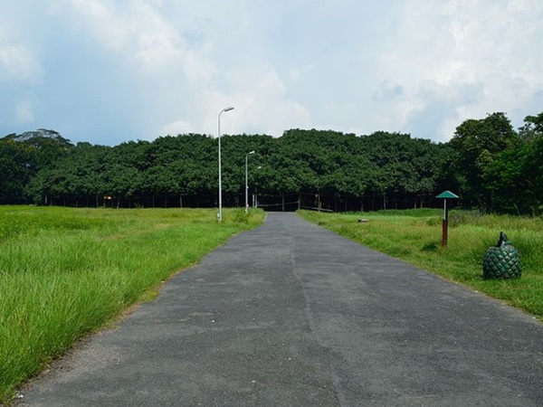 இந்த பூங்காவின் மூலை முடுக்கெல்லாம் சுற்றலாம் வாங்க