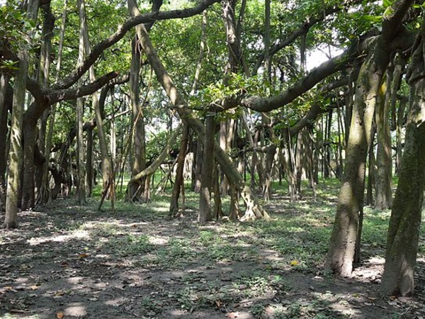 இந்த பூங்காவின் மூலை முடுக்கெல்லாம் சுற்றலாம் வாங்க